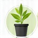 Icon showing a thriving plant in a pot.